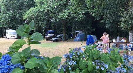 Camping Le Painfaut près de l'île aux Pies